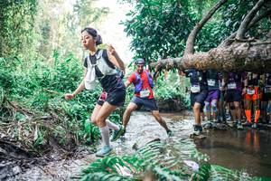 BIB: 
                            <button type="button" onclick="openModal(25473399)" class="btn btn-primary btn-sm float-right btn-popup" data-toggle="modal" data-target=".modal-high-quality">
                        <i class="fas fa-shopping-cart"></i> Add to Cart
                    </button>
                                            <button type="button" onclick="isThisMe(25473399, true)" class="btn btn-success btn-sm float-right btn-popup btn-isme hidden" data-toggle="tooltip" data-placement="bottom" title="นี่คือรูปของคุณใช่ไหม คลิกที่นี่เพื่อเอาเข้าอัลบั้ม">
                        <i class="fas fa-plus"></i> Add to album
                    </button>
                    <button type="button" onclick="isThisMe(25473399, false)" class="btn btn-warning btn-sm float-right btn-popup btn-isnotme hidden">
                        <i class="fas fa-ban"></i> Remove from album
                    </button>